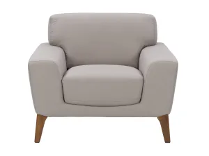 Arm Chair