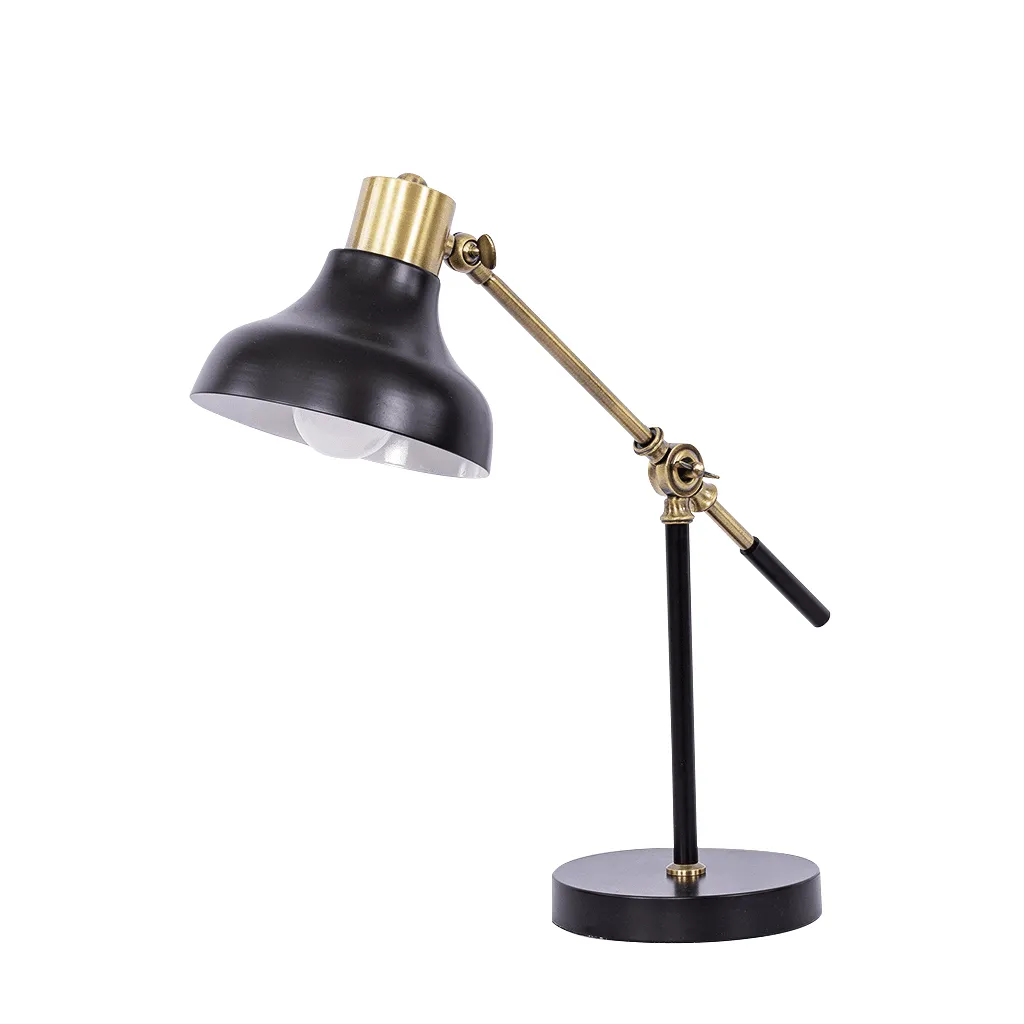 Echo Desk Lamp